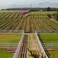 المدائن سلمان باك • ٥ دوانم • اطلالة على دجلة
