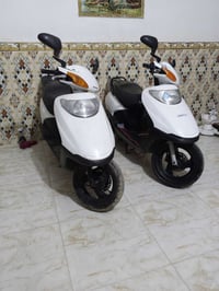 سبيسي • عدد 2 • كوت