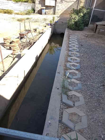 للبيع مزرعه في منصوريه الشط الركة مساحه ٣ ونص دونم و٣٥٠ متر  عقد (١١٧)مخدومه كامله الأشجار المثمرة والتمور مع ملحقات صاله ومطبخ وحمام ومولدة ومسقى ماء 
 التفاصيأكثر الاتصال ***********
