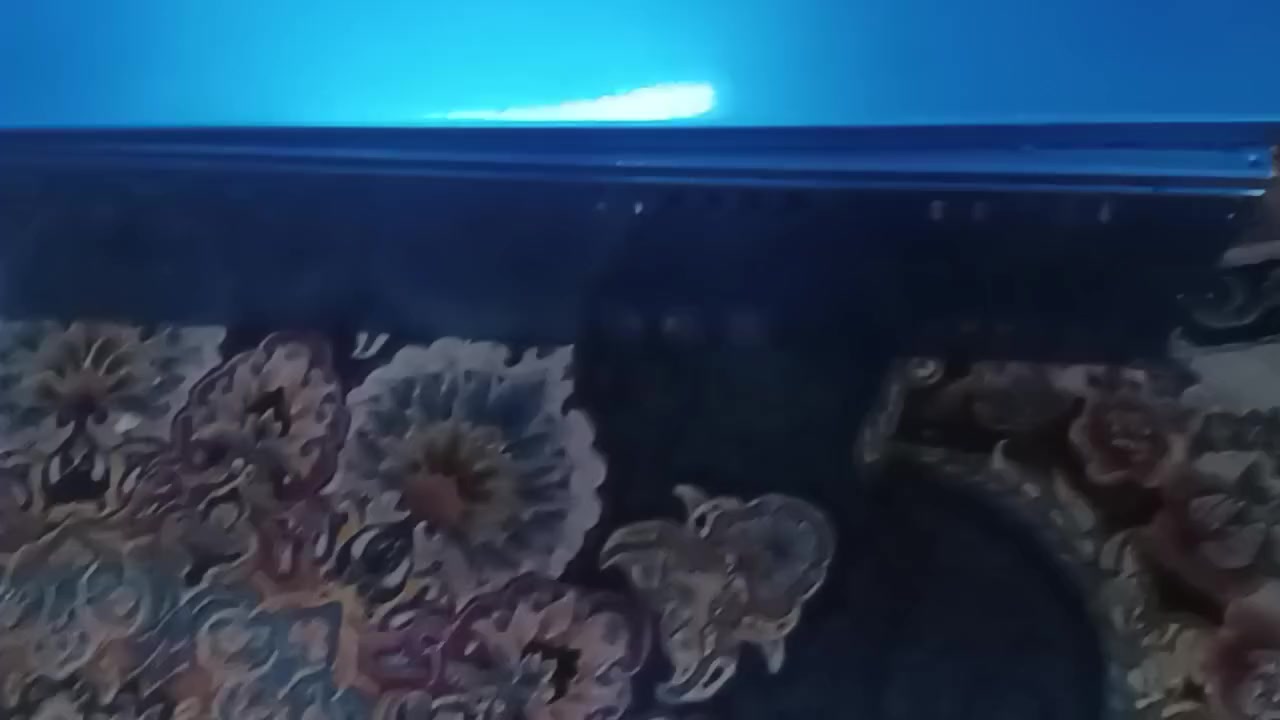 قطعه بهذا الشكل وزنها ثقيل سعره 25 مع التوصيل


**إذا كنت صاحب هذا الإعلان وتريد حذفه لأي سبب، رجاءا أرسل رسالة إلى الدعم الفني**