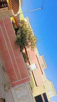 دار زراعي • ٢٠٠م • خلف دور الاساتذة