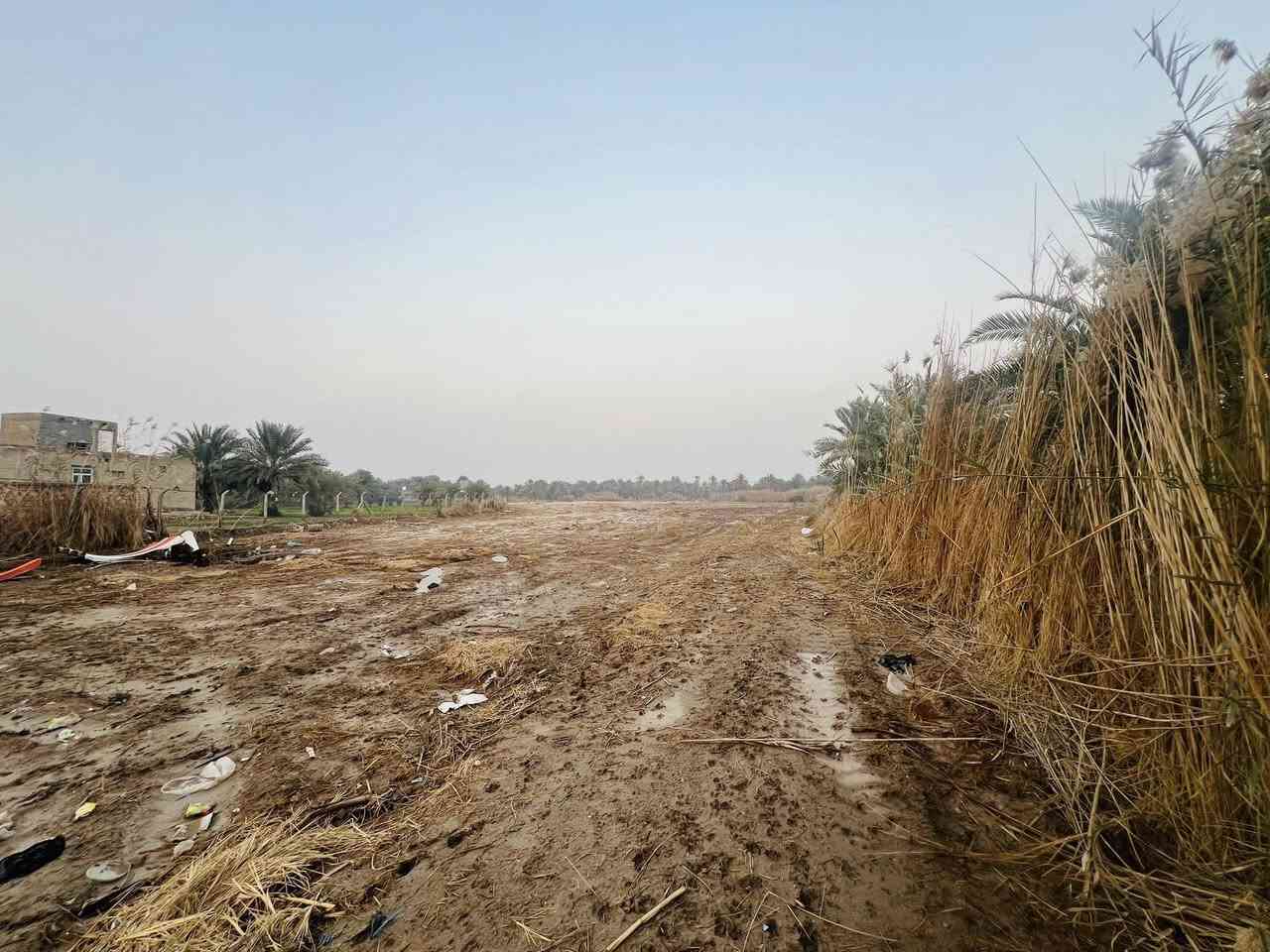 قطعة ارض زراعيةع شارع التبليط للبيع المساحة أربعة دونم و١٠٠٠ متر الموقع المراشدة قرب المدرسة موقع مميز تصلح  للزراعة او  اسطبل للخيول اوملاعب شعبية للتواصل 
***********
