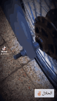 دراجه 2025 • أوراق اسكنر • حله ابو غرق