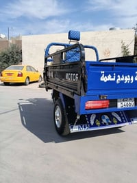 شباب ستوتة مرقمة للبيع موديل 2020 نضافة فول على الابلاد فحل عالي شاخوا...