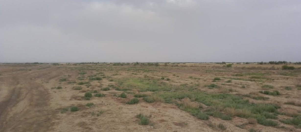 السلام عليكم قطعت أرض زراعيه للبيع  مساحته 20 دونم  صويره على. طريق المطار تبعد عن الشارع كيلو الماء متوفر بيه شتاء وصيف الاستفسار %***********
