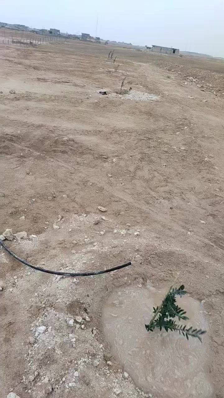 قطعه أرض للبيع الشيخ حديد فوك الحولي المساحه ١٢٩٦ تبعد عن الحولي ٧٠٠متر واصلها مي لسعر ولستفسار ***********
