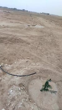 الشيخ حديد • ١٢٩٦م • ٧٠٠م من الحولي