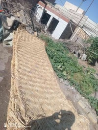 خيزران ٦م • قصب ٤٫٥م • ذي قار الفهود