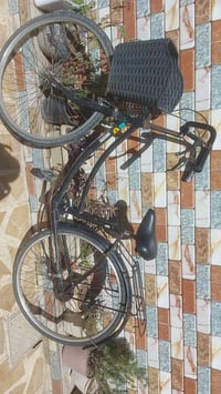 بايسك • قابل للتفاوض