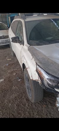 سينارو تي باك • ٢٠٢٣ • بدون رقم