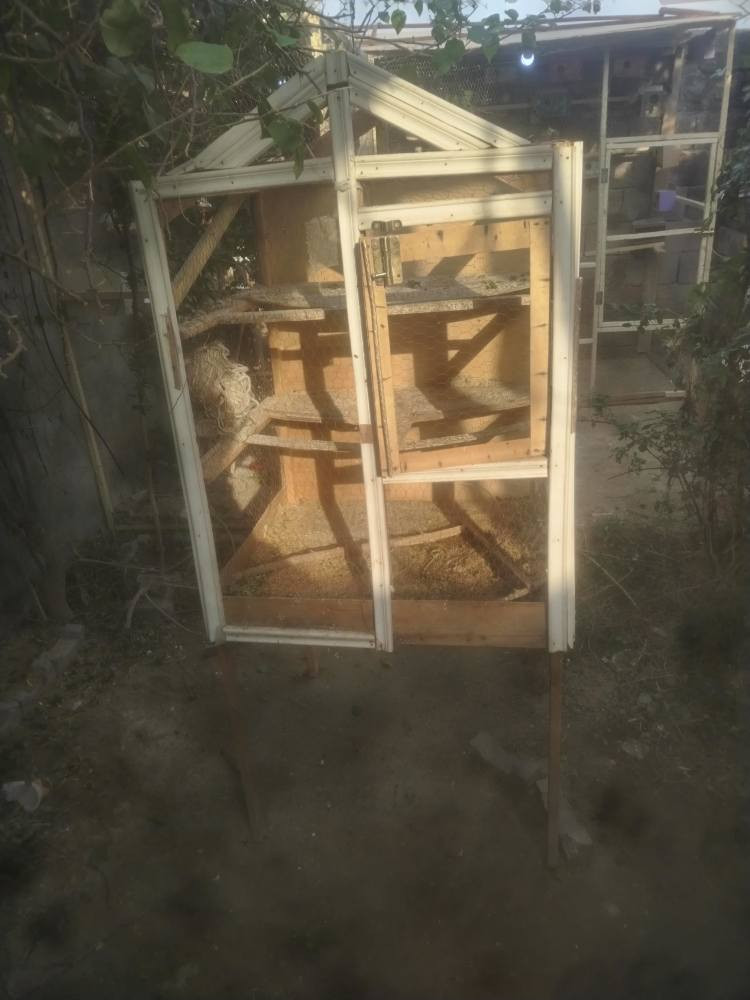 السلام عليكم
سنك كاونتر لبيع سعر 40
قفص لبيع سعر 30 دهل اوران, واسط


**إذا كنت صاحب هذا الإعلان وتريد حذفه لأي سبب، رجاءا أرسل رسالة إلى الدعم الفني**