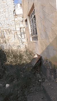 بيت لبيع في قظاء النصر يبعد عن السوك 75متر ناصي فقط الديوانية عاليه كلش البيت مابيه  وجهيه باب فقط بصوب الصغير مساحة ٣٠٠ زراعي من كاع الحاج فشاخ الله يرحمه ***********
