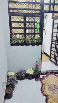 دار للبيع • بيت للبيع • منزل للبيع • عقارات الكوفة • 80 متر • بناء جدي...