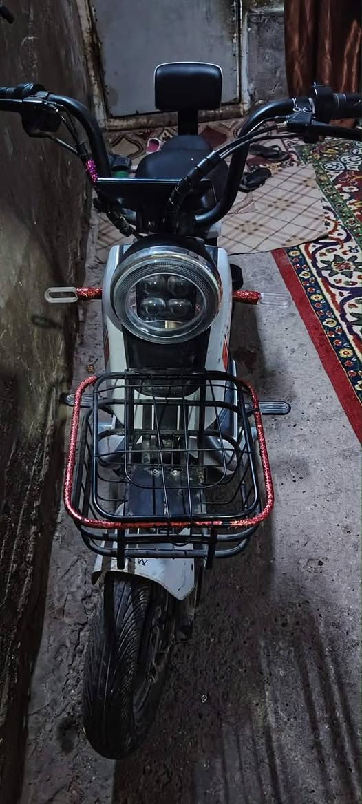 دراجه شحن البيع السعر 200 الف بيه مجال


**إذا كنت صاحب هذا الإعلان وتريد حذفه لأي سبب، رجاءا أرسل رسالة إلى الدعم الفني**