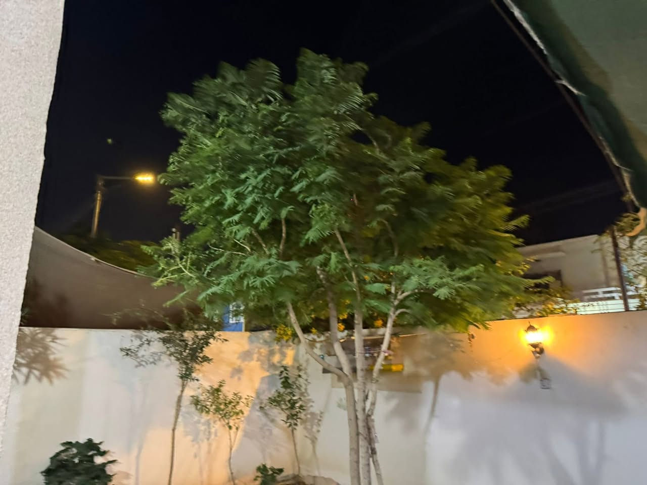 دار في مجمع قرية الغدير الثانية

مساحة 200م طابقين اربع غرف نوم ماستر
موقع الدار شارع المدخل السنتر 
مع اضافات مميزة
للتواصل والاستفسار
***********
***********
