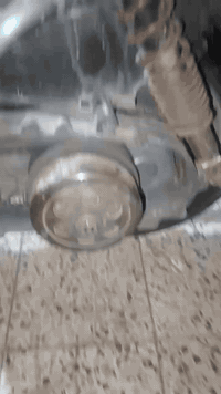 كلجات ثعلب بلادي سعر 50 الف مكاني بغداد 07765485140