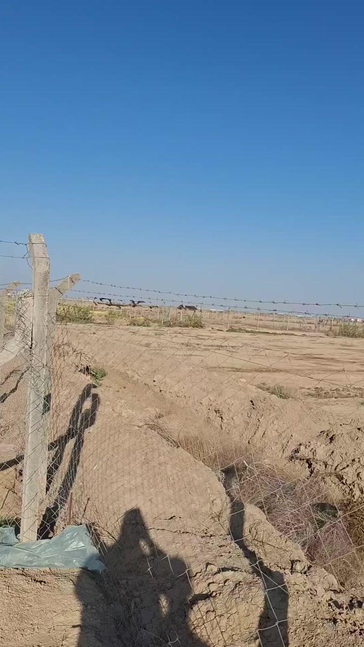 السلام عليكم للبيع ارض زراعي ٨ دونم طابوزراعي المكان  النيل كافت الخدمات اتصال ***********
