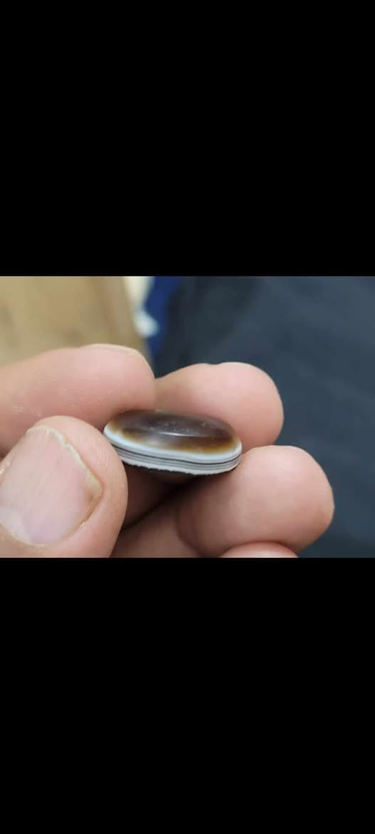 السلام عليكم


**إذا كنت صاحب هذا الإعلان وتريد حذفه لأي سبب، رجاءا أرسل رسالة إلى الدعم الفني**