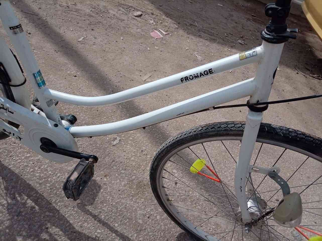 السلام عليكم
باسكل للبيع مديل 19 شركة فورماج نظافه كدامك السعر خاص واذا مو شراي لا تعبني 
وانا خادم للطيبين 
متواجد خاص ❤


**إذا كنت صاحب هذا الإعلان وتريد حذفه لأي سبب، رجاءا أرسل رسالة إلى الدعم الفني**