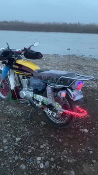 تايكر 2025 • 4كير • بيجي