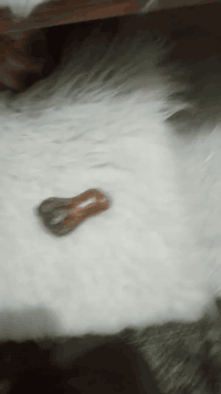 حجر سلطاني لبيع
***********
