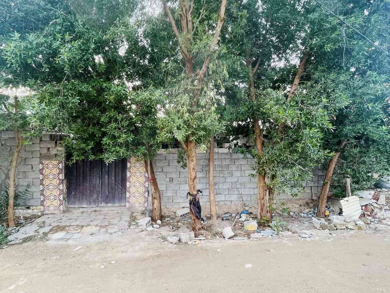 السلام عليكم دار زراعي للبيع مشمول بقرار 320 مبني قبل القرار المساحه 155متر يحتوي على غرفتين نوم صاله مطبخ البناء بلوك السقف سندويج قطرت ماي مايعبر مضبوط كامل ماي كهرباء العنوان الكوفه البراكيه خلف جامع الخزاعل السعر 12مليون بي مجال للاستفسار ***********
