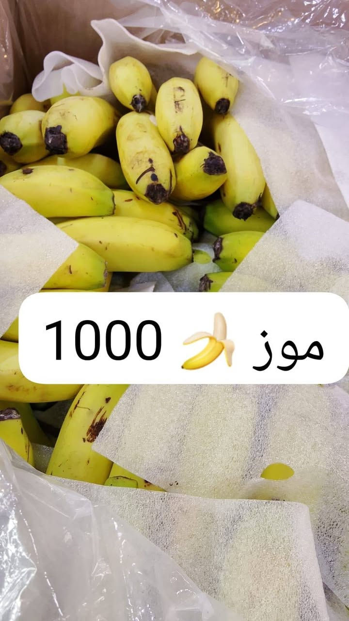 العنوان بسمايه الشارع العام مقابل القوس مجاور كوالدن هوم علوه رانيه


**إذا كنت صاحب هذا الإعلان وتريد حذفه لأي سبب، رجاءا أرسل رسالة إلى الدعم الفني**