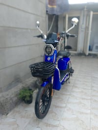 بايسكل شحن • بابل سكندریه