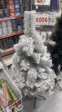 مركز ادم جابلكم لوحة حقيقية فنية بالبيت واحنا مقبلين ع أعياد الميلاد احنا سباقين حتى لا تصعد الأسعار وتجار الأزمات يصعدون ع المواطن اليوم متوفرة ٣ موديلات الأخضر والأبيض والأخضر الثلجي وبسعر جوة الجملة( على شرط كثافة متلكة مثلها بغداد)
٦٠ سم  ارتفاع  وثلاث موديلات ب٤،٥٠٠ دينار بس
١٢٠ سم ارتفاع بس ب ٧.٥٠٠ دينار
١٥٠ سم ارتفاع بس ١٥ الف دينار
٢١٠ اخضر او ابيضّ بسعر ٣٨ الف دينار
 ٢١٠ سم ارتفاع وثلاث موديلات ب ٨٥ الف دينار
١٢٠ سم ثلجي أقوى شي موجود بسعر ٢٥ الف دينار
الثلجي فول الفول عالي الكوالتي والكثافة بسعر     ال٣ متر  بسعر ١٨٠ الف دينار 
العنوان / الدورة حي دجلة شارع ١٦ 
المركز مفتوح ٢٤ ساعة 
خدمة التوصيل والحجز الاتصال :- 
***********
