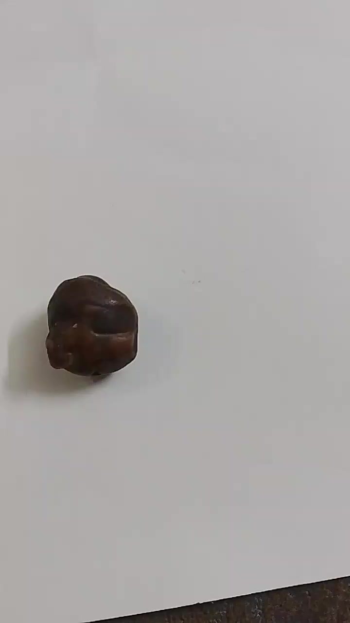 سلام عليكم صلطانيه خام سعر ٤٠الف***********
