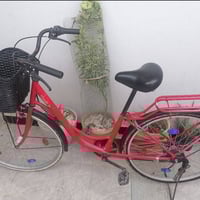 باسكل 26 • نضيف • بعقوبة الشراي