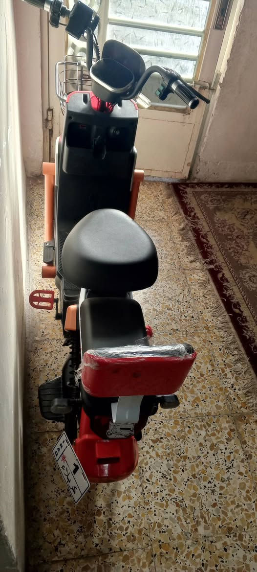 سلام عليكم
للبيع دراجة شحن موديل2025 من MR KOREA بطاريات منفوخة شغال من ناحية كهربائية إشارة لايتات شاحنة من نوع العداد حط بطاريات وتوكل بالله حجمة دراجة 14بريك امامي خلفي سعر200
مكان كربلاء المقدسة الاسكان الأطباء
اني اخذتة 450 ابيعة 200 شراي خاص
رقم*********** وبي واتساب اذا تريد 

((ملاحظه مهمة:بس شراي يجي يراسل ال موشراي لا يخابر لأن اكو (بعض)ناس مو كد الحجي يسوي ويحجي وماكو بس حجي))
