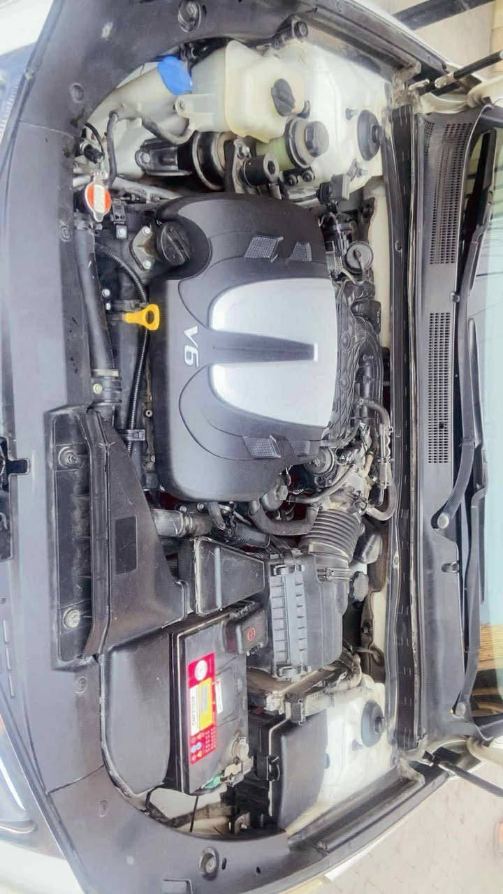 السلام عليكم ورحمة الله وبركاته
هونداي ازيره  موديل 2015خليجي.... موصفات
 فول   مكينه 6 سلندر 
سياره كفاله عامه  من فتح وتبديل شرط سياره عل وضع شركه من داخل وخارج تارايك زيرووووو مكينه وكير وحداديه وتخم تاير تبريد غرفه جديده الف ماذب عليه 
سياره نضافته 💯 بل 💯 جكد ما توقع نضيفه وجاهزه 
موصفات السياره
لايت زنون 100 واط عالي ناصي  
كشنات جلد 
تدفئه تبريد كشنات 
قطعتين تبريد 
تحكم كشنات منفصل بل ابواب 
تحكم  بيانو 
برده خلفيه كهربائيه 
بردات جانبيه خلفيه 
مري شفط نظام ترحيب 
عنده تقرب ناره داخليه 
فتح صندوق ذكي 
لدات امامي خلفي وبلو جكتور لد 
حساس امامي خلفي 
شاشه كامره خلفيه بلادي شركه 
تحكم ستيرن كهربائي 
نظام اصوات انفنتي 
لد مري جانبي 
حساس خلفي 
يدات نيكل إشارات ترحيب جانبي 
دمام خلفي كولتي عالي 
دبل كزوو خلفي 
ويل كب 19 كرؤم
----------------------------------------------------------------------------
السعر ١٣٣وبيه مجال كلش بسيط
مكان بغداد الزعفرانيه
***********
