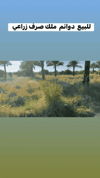 دوانم للبيع  ملك صرف زراعي سند25
توجد   سكنية وتوجد بساتين  
للاستفسار***********
