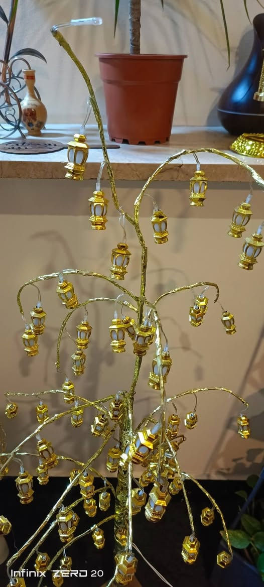 نشرة فوانيس ارتفاع 130سم


**إذا كنت صاحب هذا الإعلان وتريد حذفه لأي سبب، رجاءا أرسل رسالة إلى الدعم الفني**