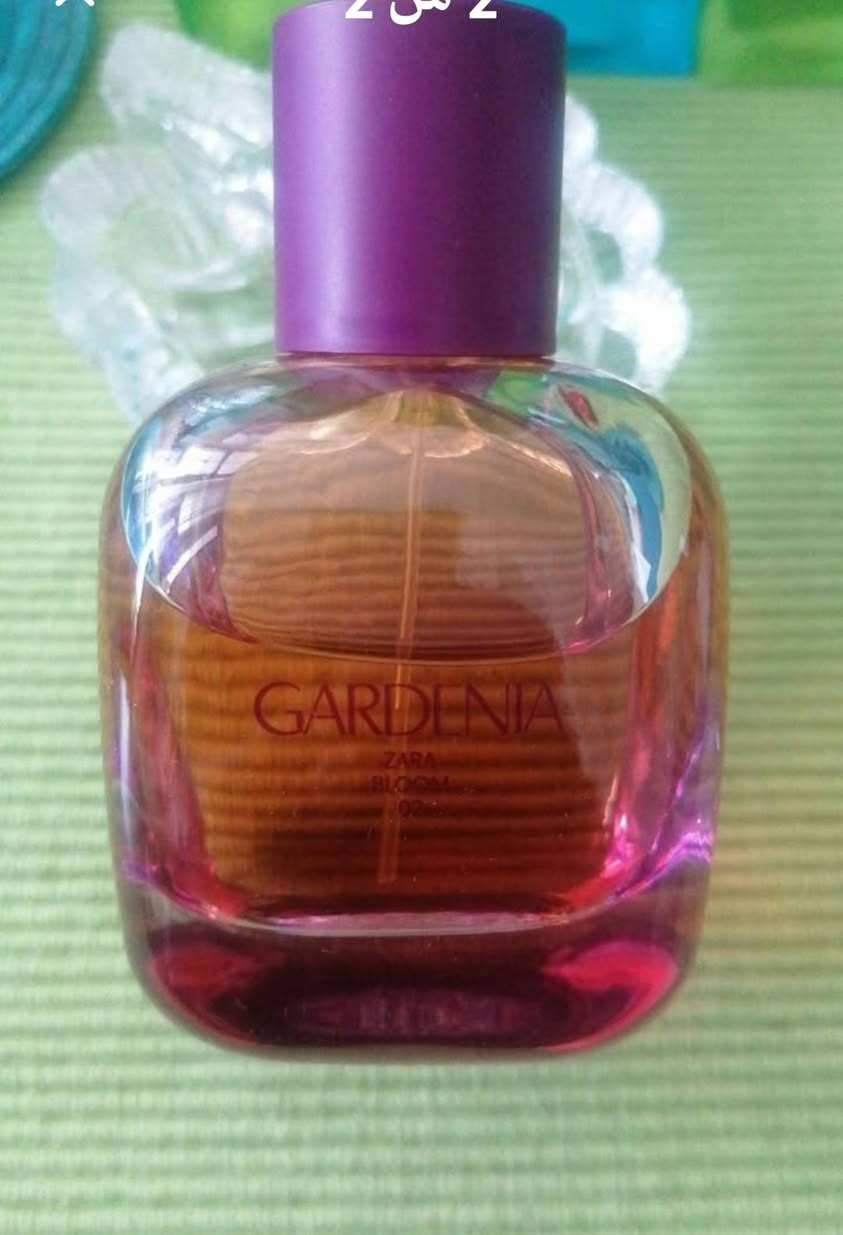 عطر ZARA نسائي اصلي 💯 /💯 الحجم 90milجديد غير مستخدم... أربيل, العراق


**إذا كنت صاحب هذا الإعلان وتريد حذفه لأي سبب، رجاءا أرسل رسالة إلى الدعم الفني**