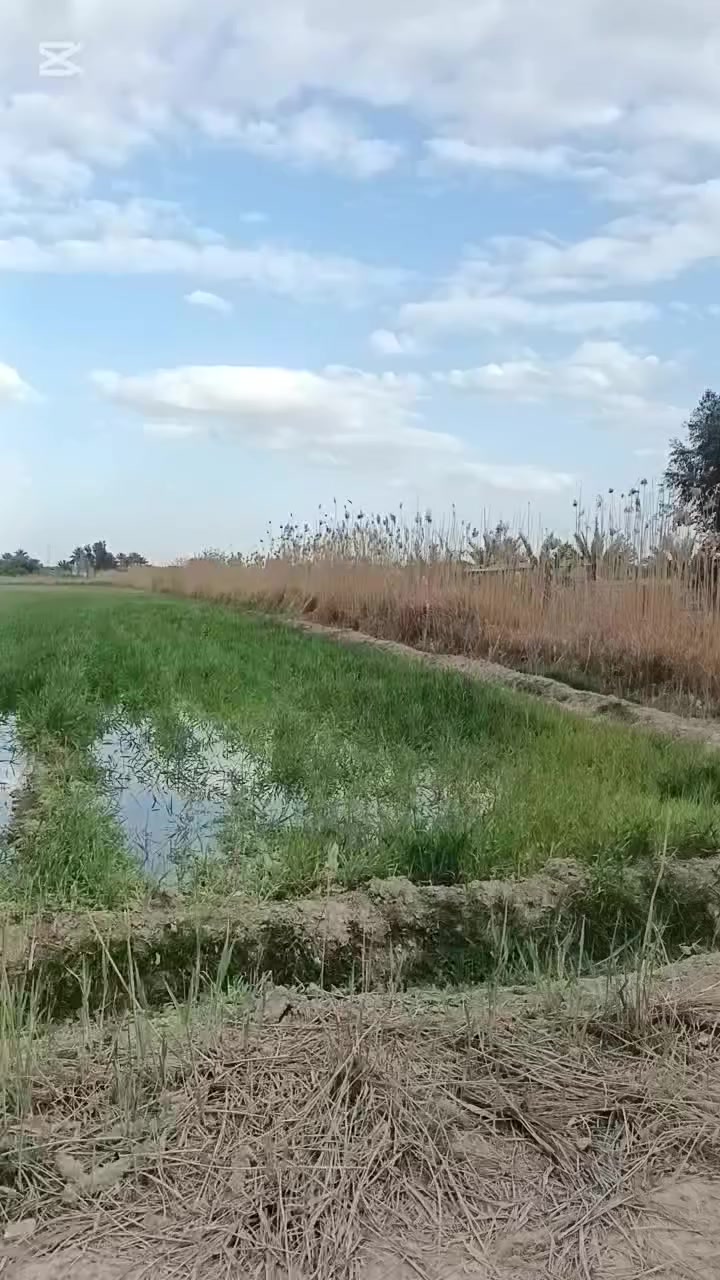 فقط الجاد بالشراء يتصل السلام عليكم ١٤ دونم للبيع عقد ٣٥ منطقة الحديد خلف كاع نزار موقع حلو 100% واجهة الدوانم ١٢٥ متر والنزال ٢٧٠ متر سعر الدونم ١٨ مليون
😍تباع ٤ دوانم فما فوق 😍
 للإستفسار الاتصال على الرقم أو واتساب ***********
#دوانم_ديالى
#عقار_ديالى
#ديالى
#بيع_اراضي
#اراضي_للبيع
#عقارات_العراق
#استثمار_عقاري
#ارض_للبيع
#عقار
#بيع_وشراء
#سوق_العقارات
#فرص_استثمار
