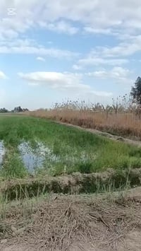 ١٤ دونم • منطقة الحديد • واجهة ١٢٥م