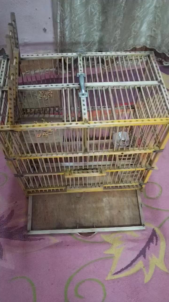 متاح السعر 20 مكاني مركز العماره


**إذا كنت صاحب هذا الإعلان وتريد حذفه لأي سبب، رجاءا أرسل رسالة إلى الدعم الفني**