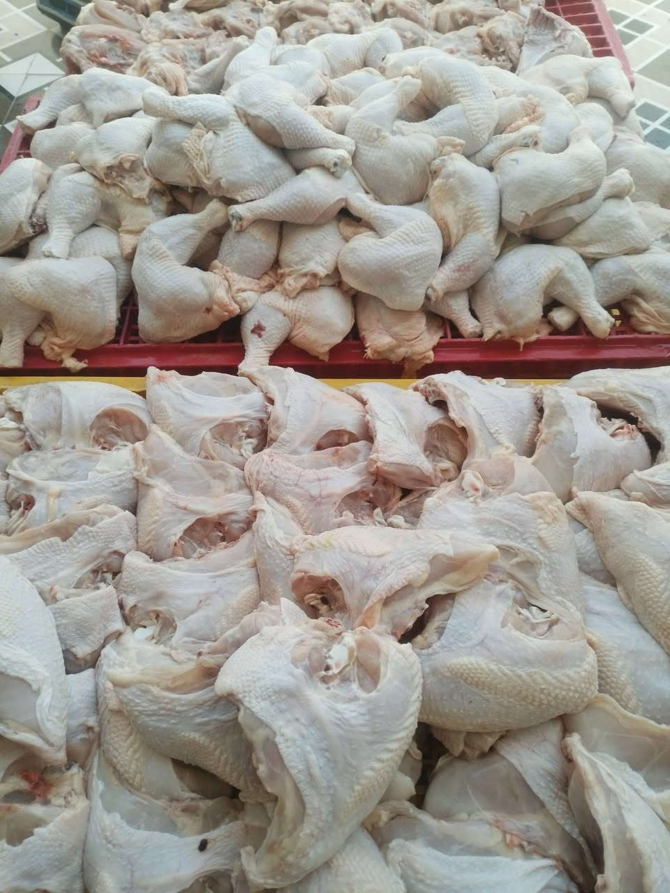 يا الله ذبح اليوم الكميه خير من الله متوفر افخاذ وصدر واجنحه ***********
