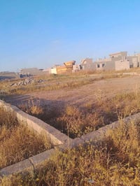 المعسكر • ٣٠٠م • ماء وكهرباء