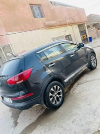 سبورتج • ٢٠١٦ • وارد امريكي