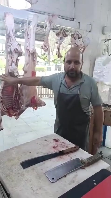 على بركة الله تازه ذبح اليوم 2026/6/25 الاسعار مذكوره بلفيديو العنوان توله فروش مقابل جامع ابو بكر
على بركة الله تازه ذبح اليوم 2026/7/4 الاسعار مذكوره بلفيديو العنوان توله فروش مقابل جامع ابو بكر يتوفر لدينا خدمة توصيل

 الاسعار مذكوره بلفيديو العنوان توله فروش مقابل جامع ابو بكر

***********

***********

