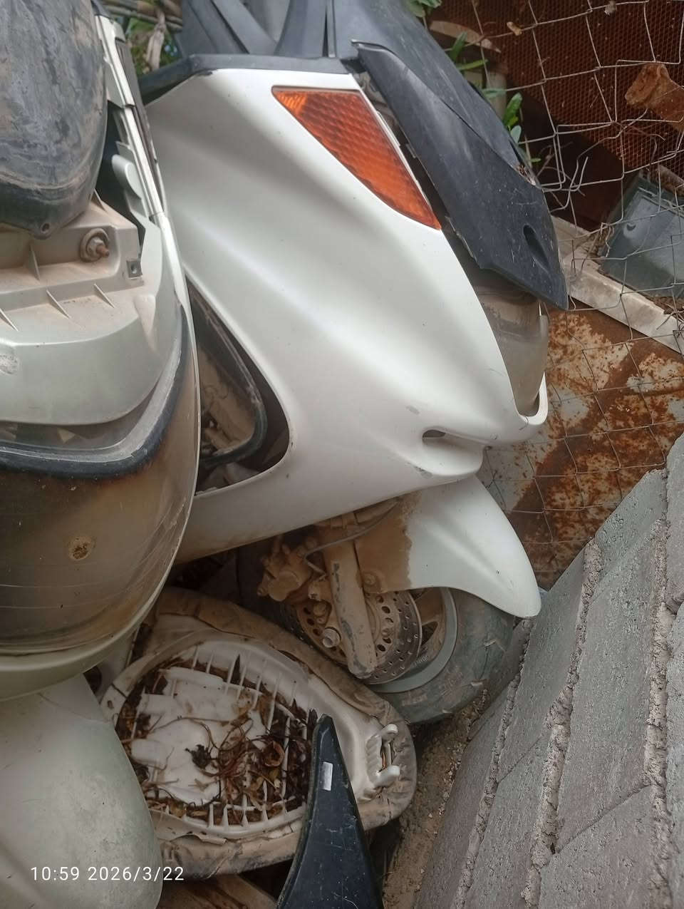 السلام عليكم شباب الوجبه الثانيه 
 شباب ماجسته عدد2 دبل رون

البيجيه كفرات كامله مكينه كامله تقريبا شغاله بيها مشكله كهربائيه تايرات جدد باتري تكتك 

البيضه كفرات لؤلؤي شاصي كامل كهرباء كامله بيها نص مكينه دبل رون 
بيهم غراض احتياط خير من الله كهربائيات كشنات
اقباق كلج فشك مكينه هواي غراض جيب كيا حمل وأخذ 

الدراجات اريدهن مراوس أو بيع  ابيع كوم حديد جيب كيا وتعال من باب بيتي تأخذ 
 واتساب ***********
هاتف ***********
