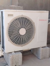 سبلت طنين • حار بارد • ما بيه عيب