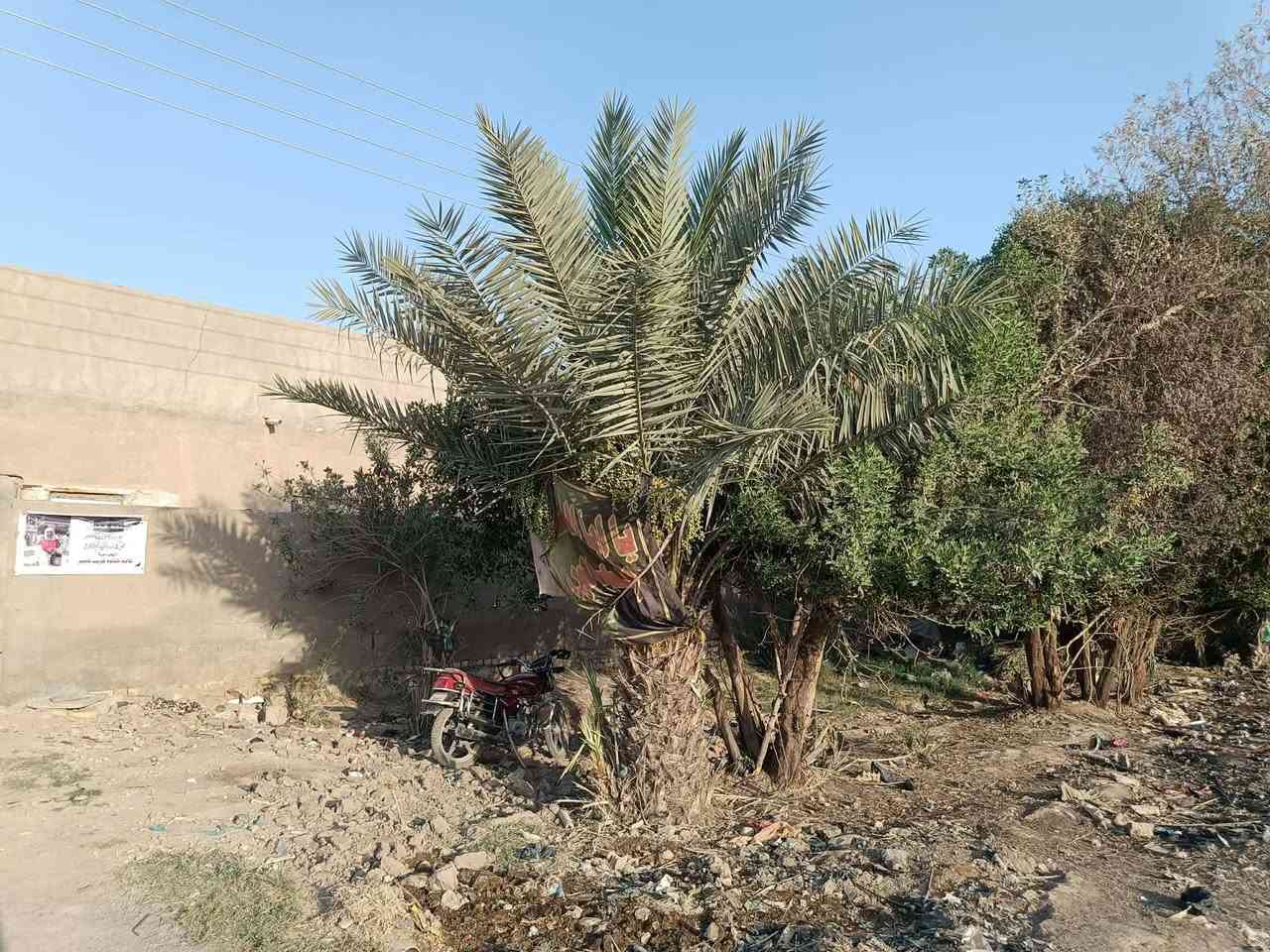 الدار البيع مساحة البيت ٣٥٠ مدرسة الرحمه حي لامام الرضا
اليريد استفسار كثر  هاذ رقم ابو البيت مكلف بنشر 

***********

