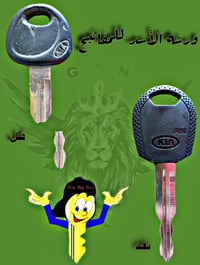 جبله شارع المعارض • فحص وبرمجة • استنساخ سويجات