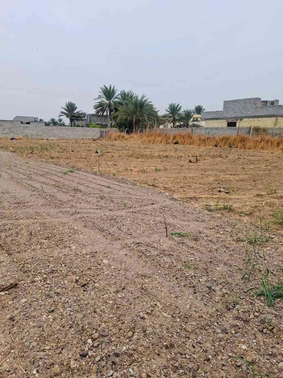 من رخصة الادمن
السلام عليكم 

قطع أراضي زراعية للبيع توجد عدة مساحات 

الموقع خلف حسن ابو الدهن قرب عميد كائن 

للاستفسار اكثر ***********
