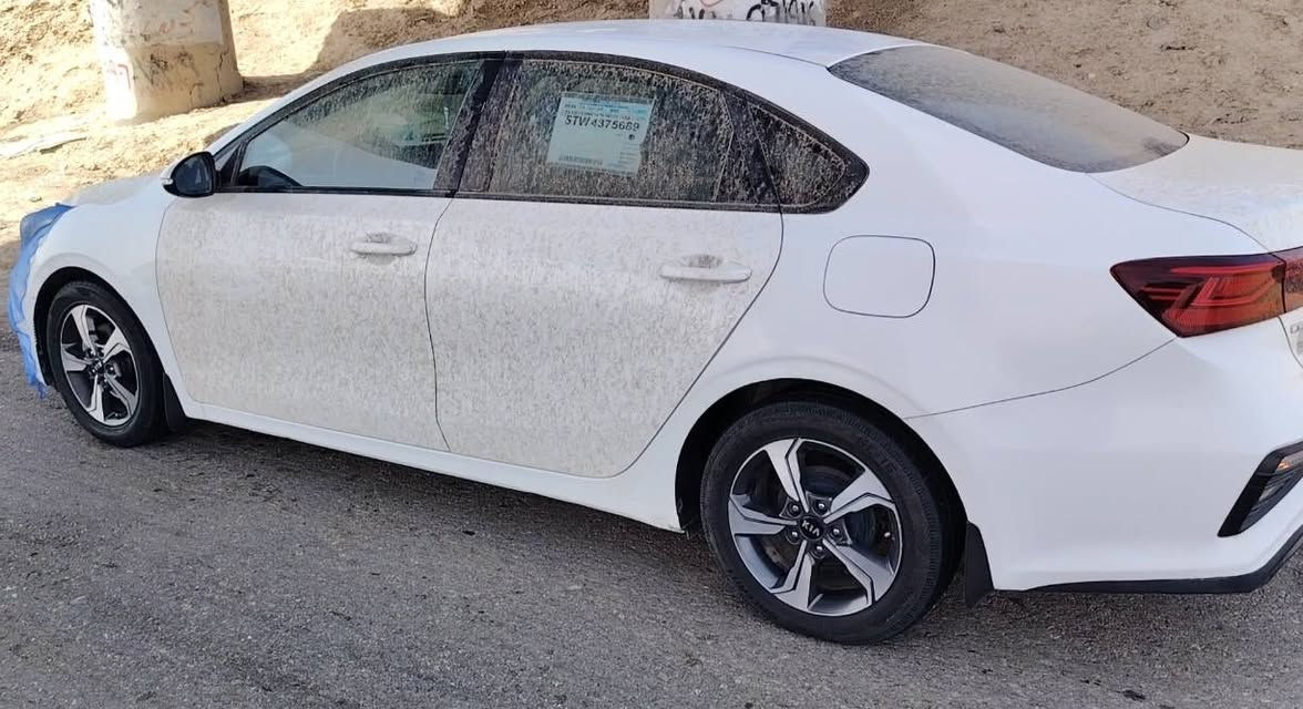 سيراتو 19 رقم بغداد نص فول سعر 143 بيها بارد جاملغ وره سايق 
ماشيه 137 عنواني سماوه الخضر

***********
