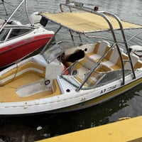 زورق أمريكي • ٥ متر • محرك ١٧٥ افنرود